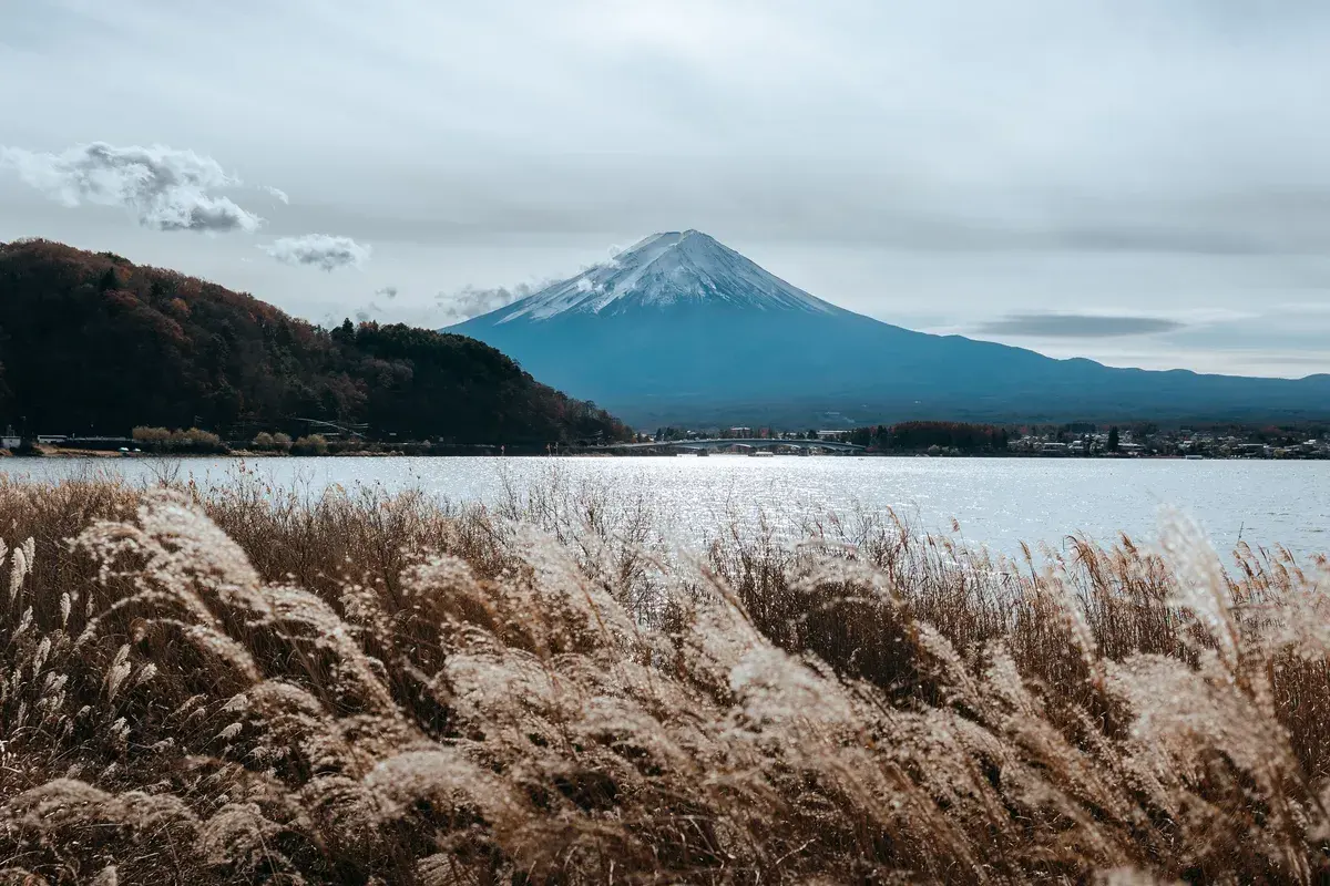 Mount Fuji seen from the lakeside
