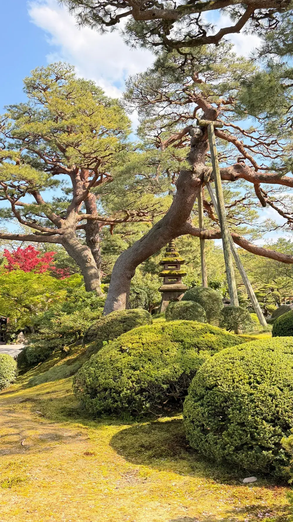 Green corners of Kenrokuen garden in Kanazawa